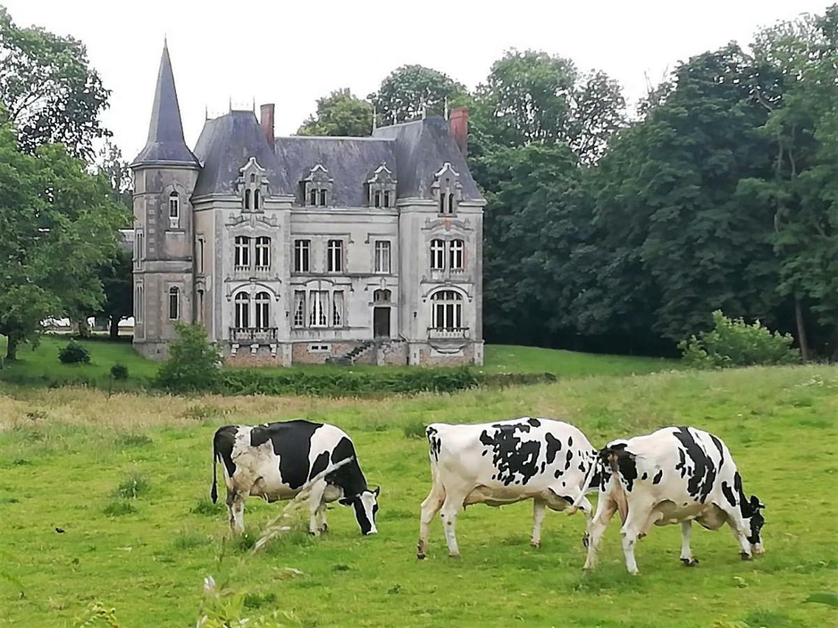 Le Chateau Du Grand Coudray Villaines-la-Juhel Екстериор снимка